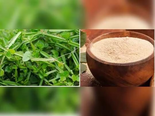 Pirandai Salt (பிரண்டை உப்பு) - 6 gm
