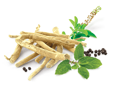 Ashwagandha ( அஸ்வகந்தா ) - 100 gms